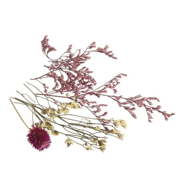 Bukett av mini rosa torkade blommor