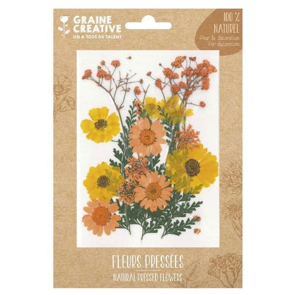 18 pressade blommor - gul äng