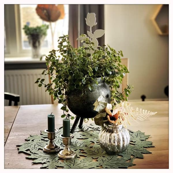 Ros - Grace Älska plåt