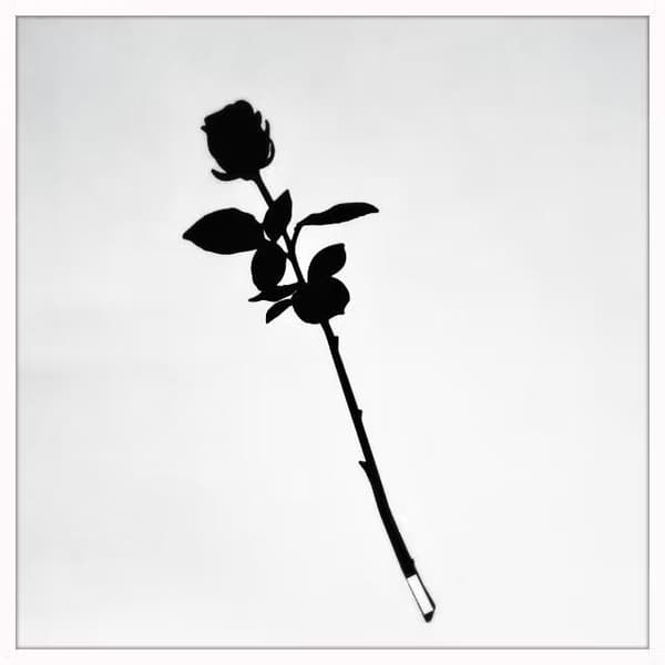 Ros - Grace Älska plåt