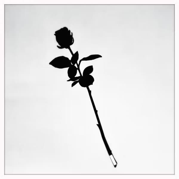 Ros - Grace Älska plåt