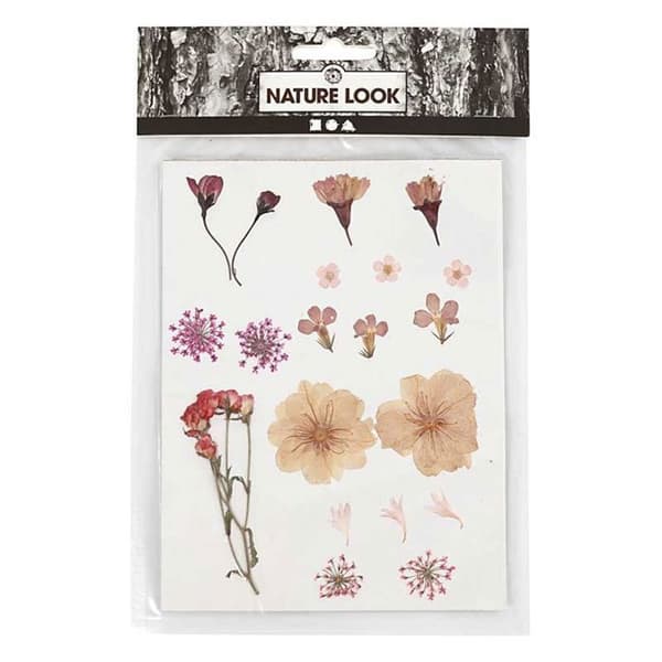 40 torkade och pressade blommor - Ljusrosa