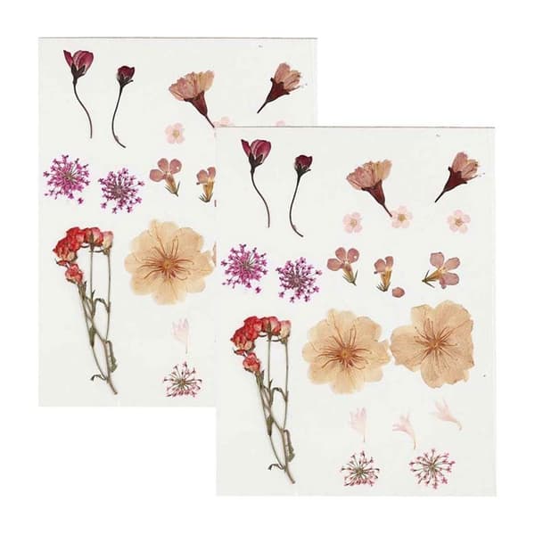 40 torkade och pressade blommor - Ljusrosa