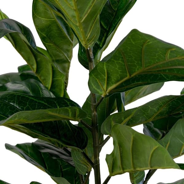 House Nordic Konstgjord Ficus lyrata 100 cm Grön 442779