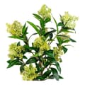 Miniatyrbild 3 av 6: Konstgjord skimmia träd 75 cm