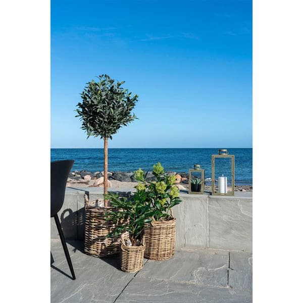 Konstgjord skimmia träd 75 cm