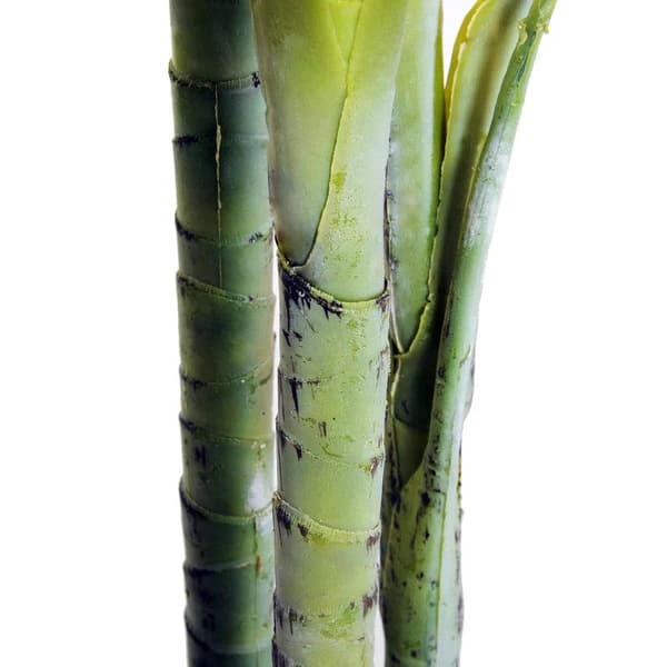 Rootz Kunstig Palme - Kunstig Plante Med Plantepotte - Faux Palme - Grøn - Plast - 150cm