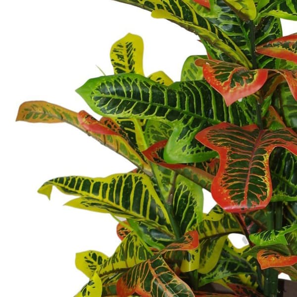Leaf - LEAF-7083 - Multicolored Artificiell Codiaeum Leaf Home Svart Plastkruka Stor modell 90 cm