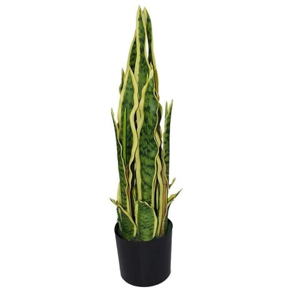 Leaf Feuille Artificiell Sansevieria Växt för inomhusbruk Gul/Grön 55 cm - LEAF-7087
