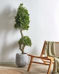 Miniatyrbillede 2 af 5: Kunstig plante i krukke laurbærgrøn og sort 160 cm dekoration interiørtilbehør stue opholdsrum værelse