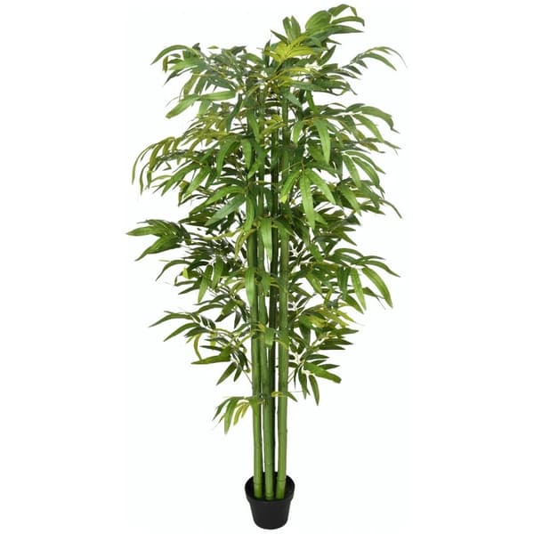 Rootz Konstgjord bambu - Konstgjord växt - Realistiskt utseende - Polyester - Hem - Kontor - Restauranger - Grön + Svart - 17cm x 17cm x 180cm