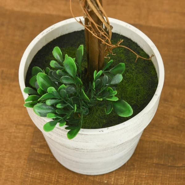 Rootz Set med 2 konstgjorda buxbom - konstgjorda växter - inklusive konstgjord mossa - 1 plantering - Grön - 28 cm x 28 cm x 60 cm