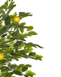 Miniatyrbilde 4 av 5: Kunstig Potteplante Grønn og Svart Syntetisk 156 cm Materiale Dekorativ Innendørs Sitrus Tilbehør