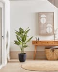 Miniatyrbilde 2 av 5: Kunstig plante Grønn Svart Syntetisk materiale 110 cm Stor plante Tilbehør Dekorasjon Innendørs Stue Soverom