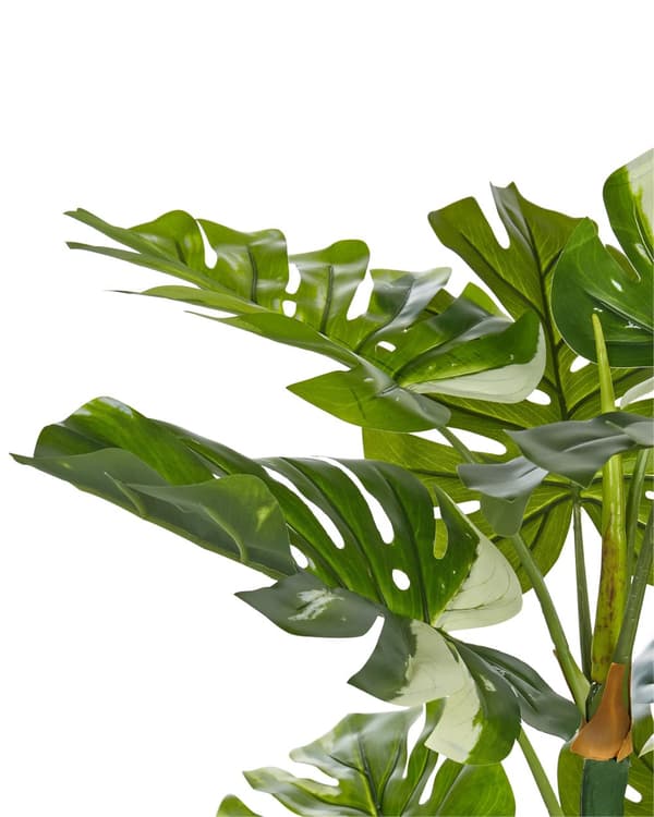 Kunstig Monstera-plante i Potte Grønn og Svart Syntetisk 135 cm Materiale Dekorativt Innendørs Tilbehør