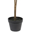 Miniatyrbillede 5 af 5: Kunstig potteplante citrongrønt syntetisk materiale 105 cm citrusindretning stue