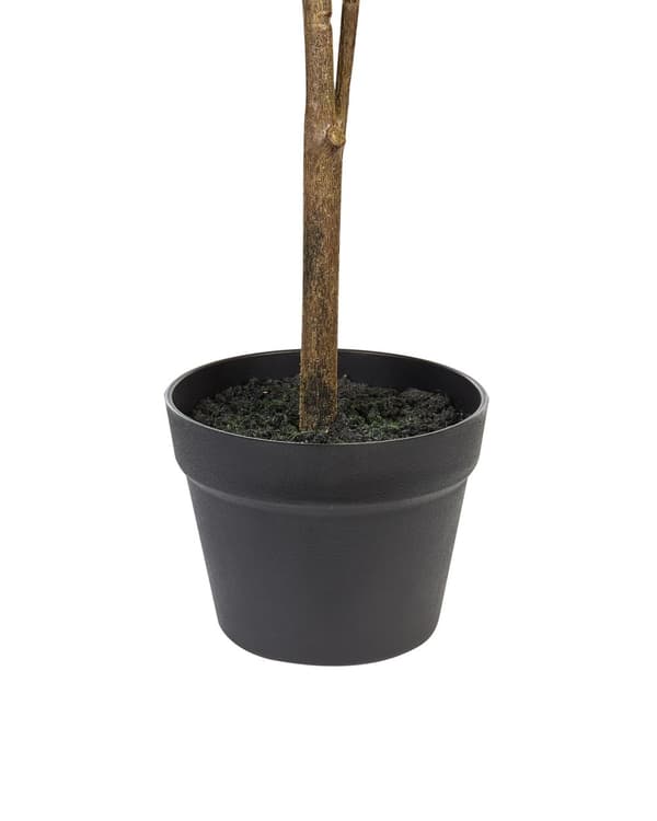 Tekokasvi vihreä synteettinen materiaali ⌀ 45 x 105 cm sitruunapuu ruukussa sisälle boho tyyli