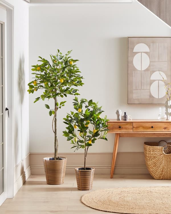Tekokasvi vihreä synteettinen materiaali ⌀ 66 x 156 cm sitruunapuu ruukussa sisälle boho tyyli