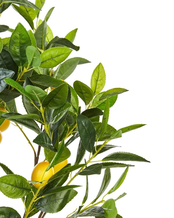 Konstgjord Krukväxt Grön och Svart Syntetisk 105 cm Material Dekorativ Inomhus Citrus Tillbehör