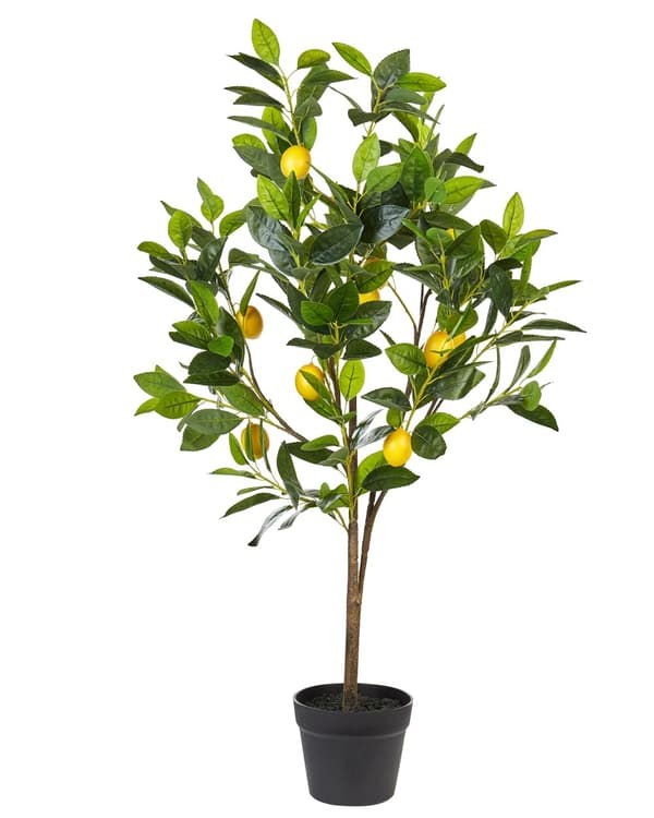 Konstgjord Krukväxt Grön och Svart Syntetisk 105 cm Material Dekorativ Inomhus Citrus Tillbehör