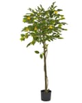 Miniatyrbild 1 av 5: Konstgjord Krukväxt Grön och Svart Syntetisk 156 cm Material Dekorativ Inomhus Citrus Tillbehör