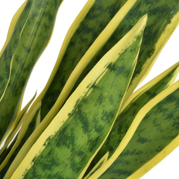 vidaXL kunstig sansevieria-plante med urtepotte 65 cm grøn -  Kunstig flora