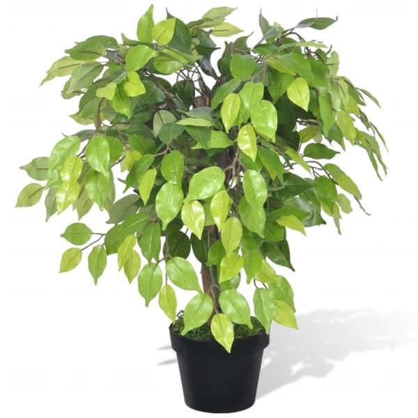 Kunstig Dværg Ficus med Potte 60 cm -  Kunstig flora