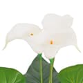 Miniatyrbillede 3 af 3: vidaXL kunstig kallalilje med potte 45 cm hvid -  Kunstig flora