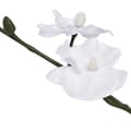 Miniatyrbillede 3 af 3: vidaXL kunstig orkidépotteplante 30 cm hvid -  Kunstig flora