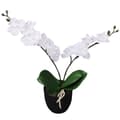 Miniatyrbillede 1 af 3: vidaXL kunstig orkidépotteplante 30 cm hvid -  Kunstig flora