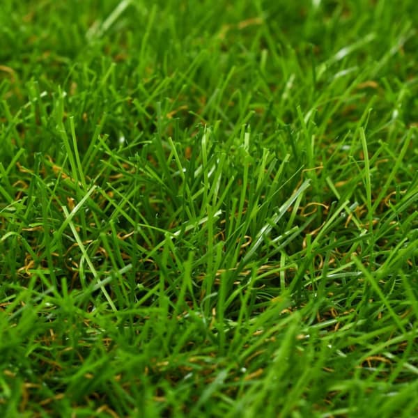 vidaXL Konstgräsmatta 1x15 m/40 mm grön -  Artificiell flora