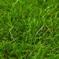 Miniatyrbild 3 av 4: vidaXL Konstgräsmatta 1x5 m/30 mm grön -  Artificiell flora