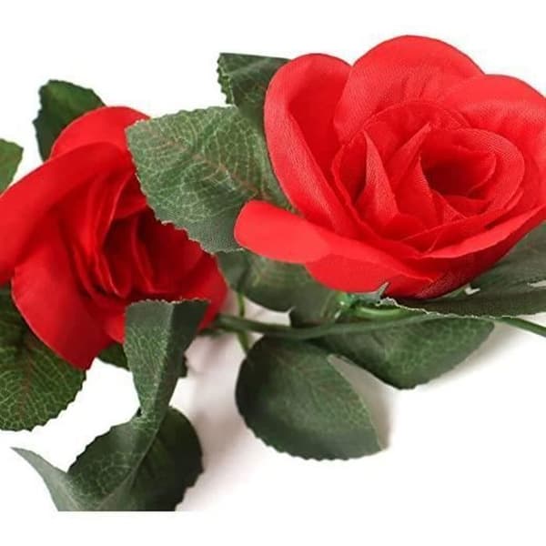 Bröllopsdekoration Valv Luftkonditionering Rör Slingrande Trädgård Hem Bröllop Bildekoration Simulering Rose Vine Blomma