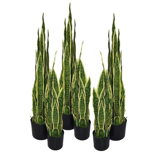 Leaf Feuille Artificiell Sansevieria Växt för inomhusbruk Gul/Grön 55 cm - LEAF-7087