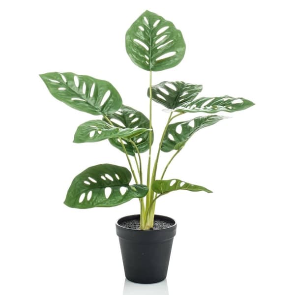 Emerald Konstväxt monstera Monkey Bush i kruka 43 cm