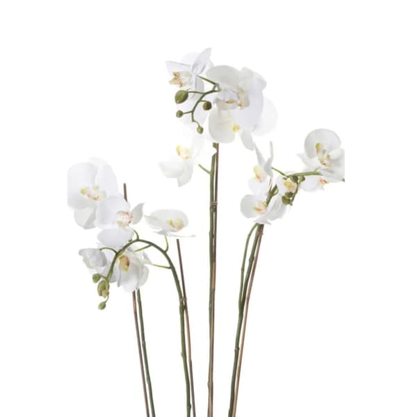 Emerald Konstväxt orkidé med mossa vit 90 cm 20.355