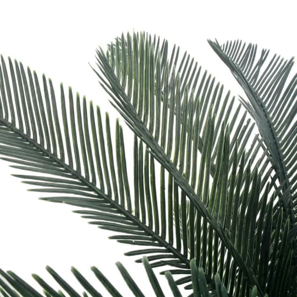 Konstväxt Cycas med kruka 125 cm grön