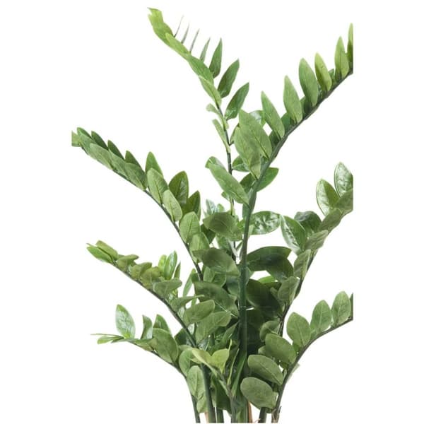 Emerald Konstväxt garderobsblomma grön 110 cm 11.662C