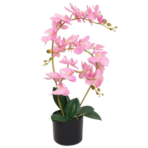 Konstväxt Orkidé med kruka 65 cm rosa