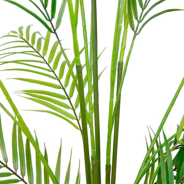 Lykke Tekokasvi Areca Palm 150cm