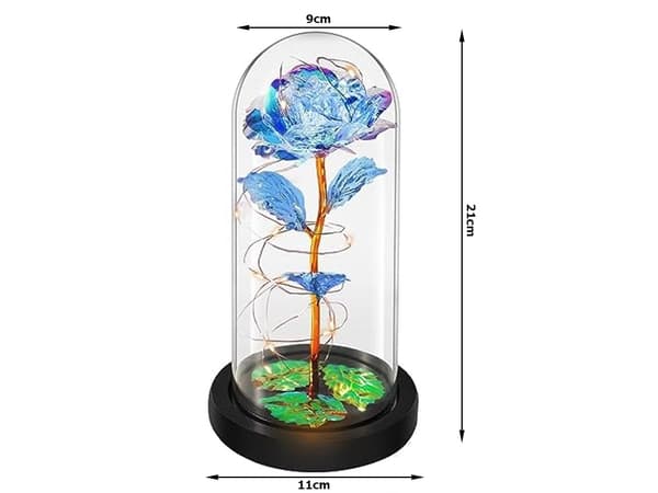 Evig ros i glas present led lysande blått glas för kvinnodagen