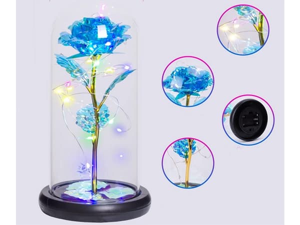 Evig ros i glas present led lysande blått glas för kvinnodagen