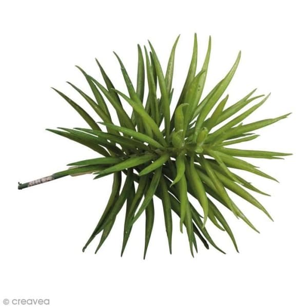 Konstsväxt - Rayher - Senecio - 10 x 9,5 cm - Perfekt imitation - Grön