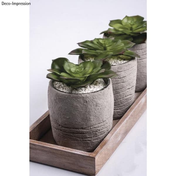Konstgjord växt - RAYHER - Echeveria grön - 8,5 x 3,5 cm - Plast - Dekorativ