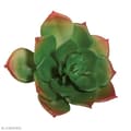 Miniatyrbild 1 av 2: Konstgjord växt - RAYHER - Echeveria grön - 8,5 x 3,5 cm - Plast - Dekorativ