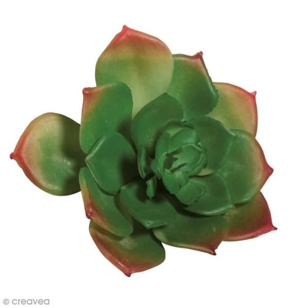 Konstgjord växt - RAYHER - Echeveria grön - 8,5 x 3,5 cm - Plast - Dekorativ