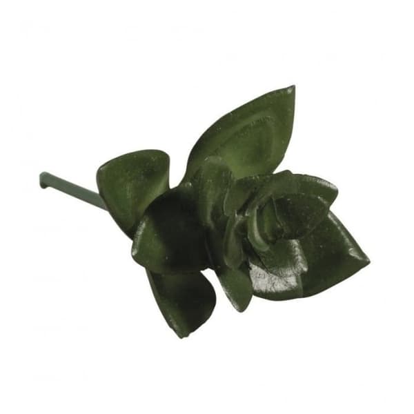 Konstgjord växt - Rayher - Haworthia - Grön - Vuxen - Miniträdgård