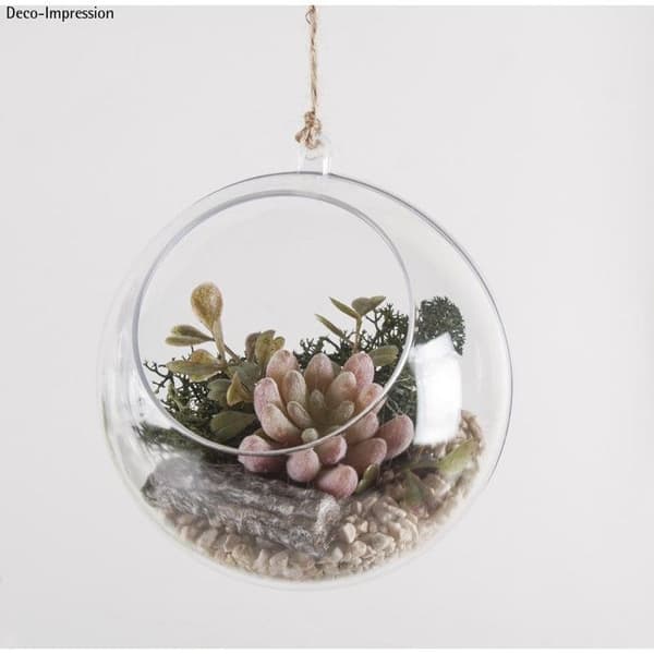 Konstväxt - Rayher - Echeveria - Plast - 4 x 2,5 cm - Realistiskt utseende