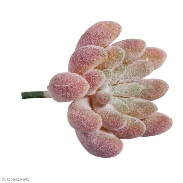 Konstväxt - Rayher - Echeveria - Plast - 4 x 2,5 cm - Realistiskt utseende