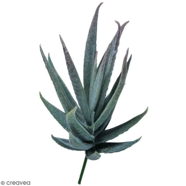 Konstgjord växt - RAYHER - Aloe - Mjuk plast - 5 x 10 cm - Inredningsdekoration